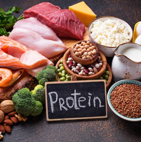 Protein Rich Diet